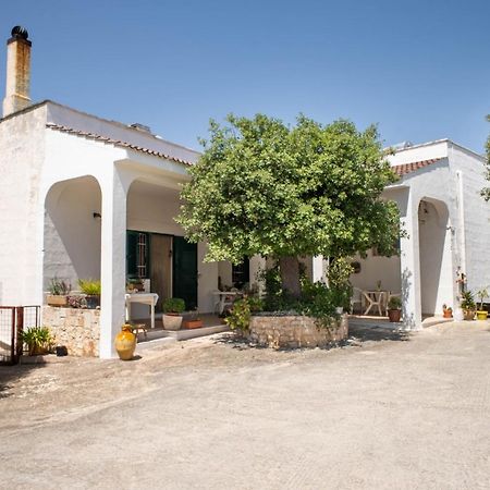 Wepuglia La Maison-D B&B Padresergio Extérieur photo