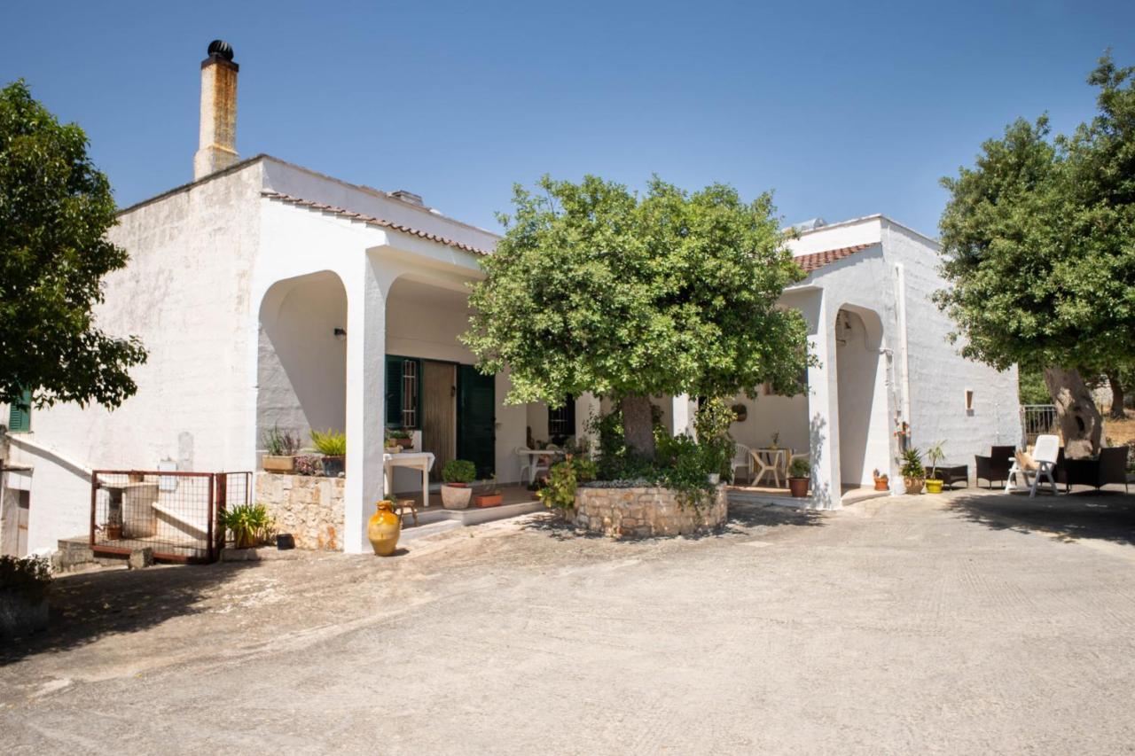 Wepuglia La Maison-D B&B Padresergio Extérieur photo